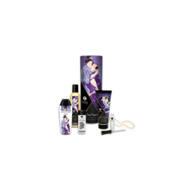 Coffret collection plaisirs charnels 5 produits Shunga + un collier de perles 